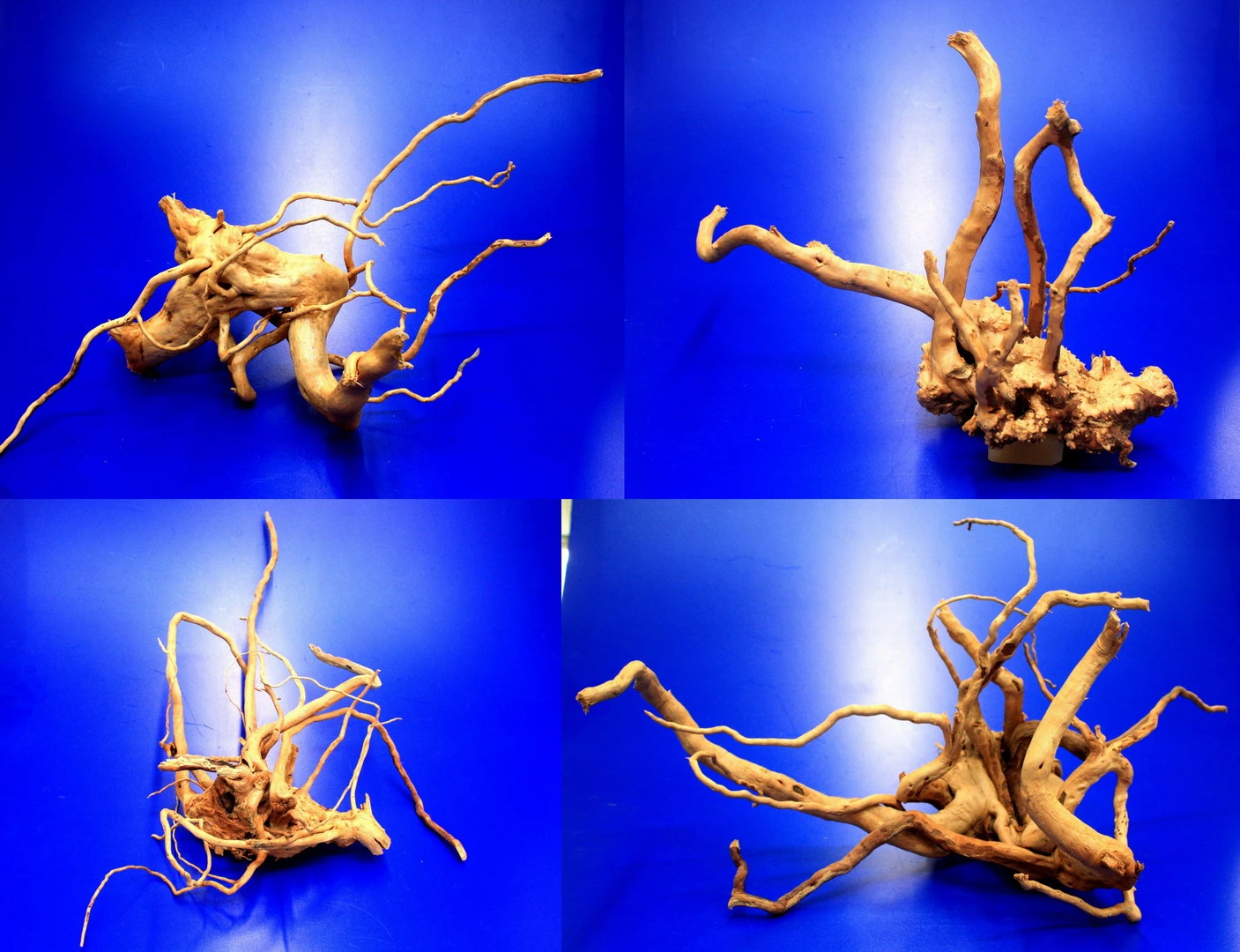 Moorwurzel/Moorkienholz, Gr. M Traumwurzel 30-40cm