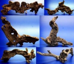 Mopani-Wurzel 40-50 Cm / Eisenholz Zwei-farbig Gr.XL