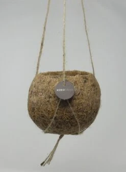 Kokodama-Ampel - Ø 12 Cm - Hängender Blumentopf