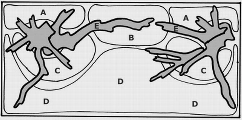Unterwasser-Landschaft Moosbrücke Für 60 Liter Aquarium – Bild 2
