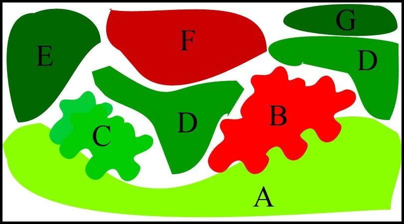 Unterwasser-Landschaft Lotuswelt Für Ein 200 Liter Aquarium – Bild 2