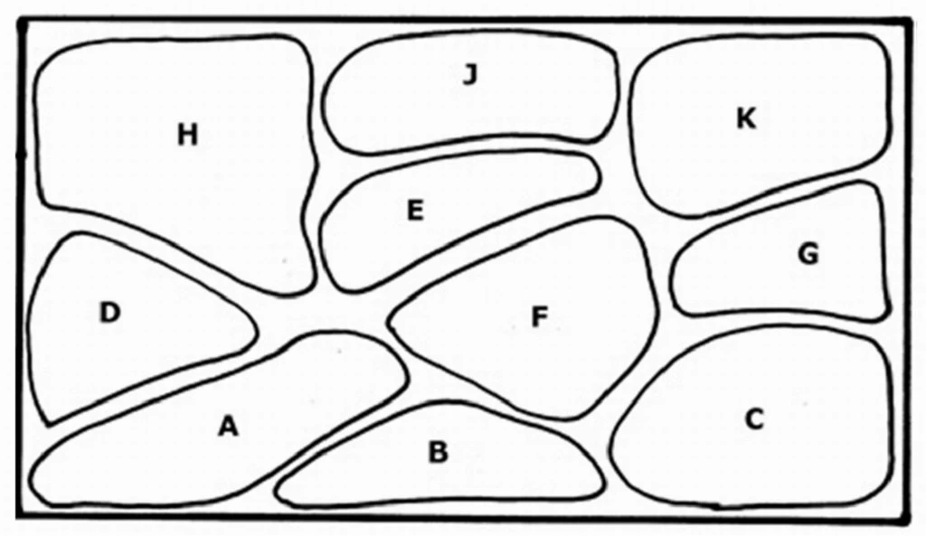 Unterwasser-Landschaft Holland-Aquarium Für Ein 400 Liter Aquarium – Bild 2