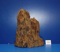 XL Mangroven-Wurzel 30x35x20 Unikat - Traumwurzel #1527