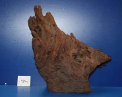 XL Mangroven-Wurzel 36x36x23 Unikat - Traumwurzel #1541