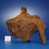 XL Mangroven-Wurzel 33x31x24 Unikat - Traumwurzel #1551