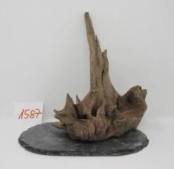 XL Scaper Wurzel 20x21x15 Traumwurzel #1587 Auf Schiefer